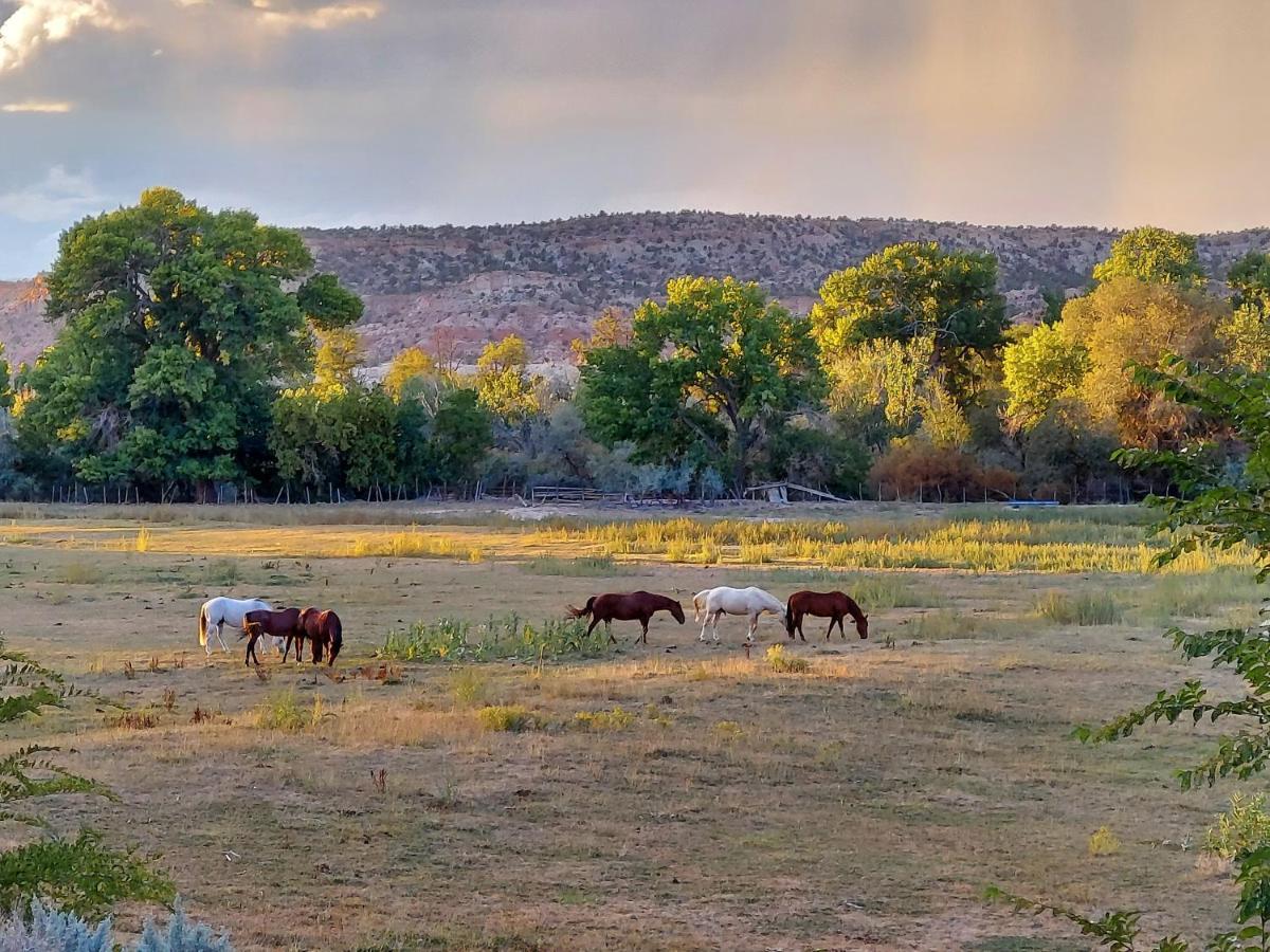 Canyons Of Rv Park